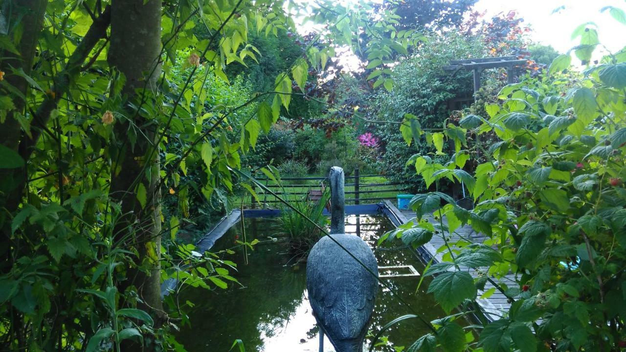 Les Alicourts Guest House Annebault Ngoại thất bức ảnh